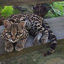 ���� ������, �������, 29 ��� - ��������� 24 ������� 2010 � ������ ���� ����