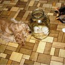 ���� �������, ������ - ��������� 28 ����� 2010 � ������ ����������