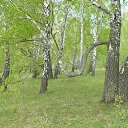  , , 69  -  29  2013    ...