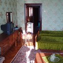  D.s., , 38  -  7  2013    2006,  ( .)