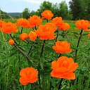 ���� ��������, ����������� - ��������� 5 ��� 2011 � ������ ���� ����������