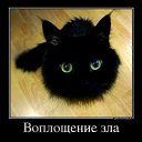 ���� ����, ������ - ��������� 29 ���� 2013 � ������ ���� ����������