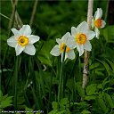 ���� ���������, ������, 71 ��� - ��������� 1 ������ 2012 � ������ ������������� ��� � �������.�