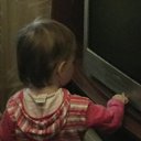 ���� ������ 81 ��������, �������� - ��������� 17 ���� 2013 � ������ ���� ����������