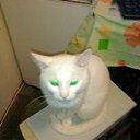 ���� Wer, ������, 57 ��� - ��������� 5 ����� 2010 � ������ �������-������