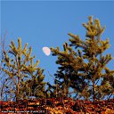 ���� ���������, ������, 71 ��� - ��������� 1 ������ 2012 � ������ ������������� ��� � �������.�