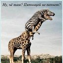 ���� ----*�*�*�*�- �*�*�*�*�*�*�*�*----, ����������� - ��������� 6 ����� 2011 � ������ ����������� ����