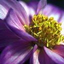 ���� ����� - ���������� ��������!!!, �����������, 56 ��� - ��������� 11 ������ 2010 � ������ ����������