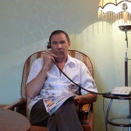 �������, ������, 81 ���