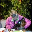  Olga, -, 63  -  24  2012    