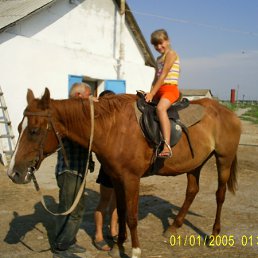 �������, 48 ���, ����������