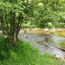  Sergey, , 65  -  11  2010   