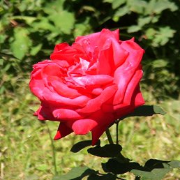 ���� �������, ����, 59 ��� - ��������� 20 ������ 2011