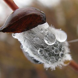 ���� ............., ����, 47 ��� - ��������� 25 ������� 2012