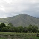  Sergei, , 63  -  1  2013