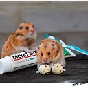 ���� Limon, ���������, 39 ��� - ��������� 10 ���� 2009 � ������ ���� �������� ��������...�