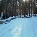  , -, 61  -  12  2012   