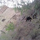 ���� Tomas, ������ - ��������� 26 ������� 2012 � ������ ���� ����������