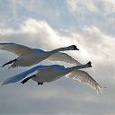 ���� ��������, ����, 58 ��� - ��������� 5 �������� 2011