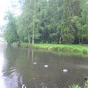 ���� �����, ���������, 45 ��� - ��������� 9 ������ 2010 � ������ ����������� �����