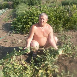 ���� �������, �������, 73 ���� - ��������� 19 ������ 2012