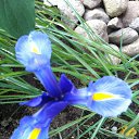 ���� ������, ������, 63 ���� - ��������� 22 ������� 2013 � ������ ������-���� �����....�