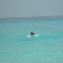 ���� �������, ����, 38 ��� - ��������� 31 ����� 2012 � ������ ���� ����������