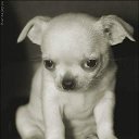 ���� �����, ���� - ��������� 26 ������� 2013 � ������ ���� ������ ������� �����, ��� ������ �������� ������)))�