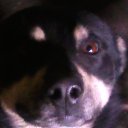 ���� ����, ������������, 53 ���� - ��������� 10 ������ 2012 � ������ �������