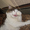 ���� ����, ������ ��������, 35 ��� - ��������� 21 ������� 2010