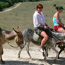 ���� �� ������� ���� ����������