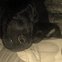 01 �� ������� ����� ��� ������������