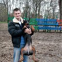  Dobermann, , 38  -  13  2010    !!!