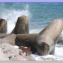   (Paolo Genua),  -  14  2009      