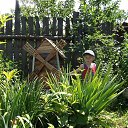 ���� �������, �������, 39 ��� - ��������� 17 ����� 2011 � ������ ����������