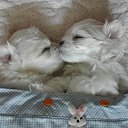 ���� ����� - ���������� ��������!!!, �����������, 56 ��� - ��������� 3 ������� 2009 � ������ �������