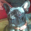 ���� ����, �����������, 53 ���� - ��������� 9 ���� 2013 � ������ ���� ����������