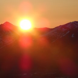 ���� Aleksandr, �������, 66 ��� - ��������� 2 ���� 2012