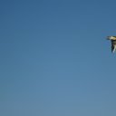 ���� ������, ������, 42 ���� - ��������� 4 ���� 2013 � ������ �����������