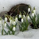 ���� ��������, �����, 33 ���� - ��������� 10 ������� 2010 � ������ �������