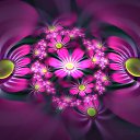 ���� �������, ������-��-����, 40 ��� - ��������� 31 ������� 2011 � ������ �������