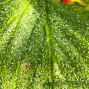 ���� ������, ����� - ��������� 8 ���� 2010 � ������ ����������