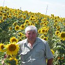 ���� ������, ���, 58 ��� - ��������� 30 ��� 2012 � ������ ���� ����������