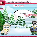   ( ), , 40  -  3  2010   PetLove