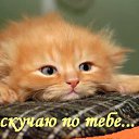 ���� ����, ���������� - ��������� 22 ������� 2012 � ������ �������