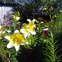 ���� ���������, ������ - ��������� 14 ������� 2013