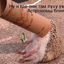 ���� ~Ann&ramosh~, ���������� - ��������� 2 ������� 2009 � ������ ���������