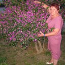  , , 68  -  4  2010   -2010