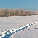 ���� Viktor, ������, 59 ��� - ��������� 13 ������� 2013 � ������ ���� ����������