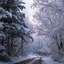 ���� ����, ���������, 31 ��� - ��������� 16 ��� 2010 � ������ �������